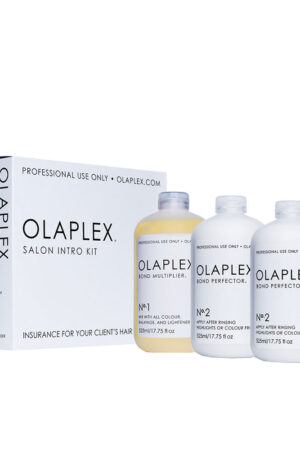 SALON INTRO CASE 3 pcs