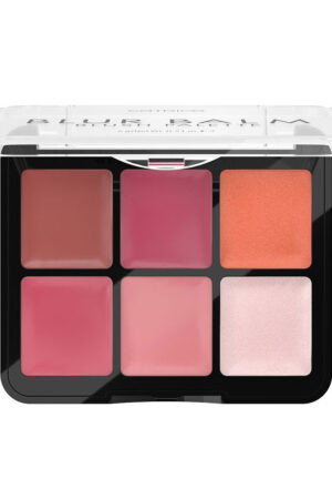 BLUR BALM blush palette #010 6 gr