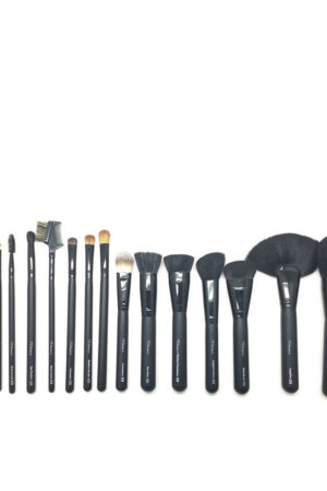Moi PROFESSIONAL BRUSHES AND BRUSHES CASE 15 pcs