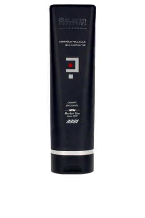Salerm HOMME exfoliating dandruff shampoo 250 ml
