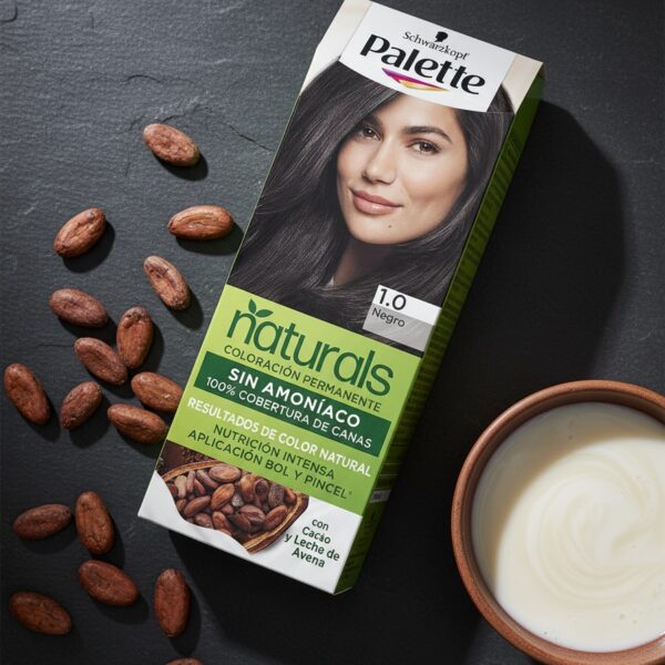 NATURAL PALETTE dye #1.0-black 1 u