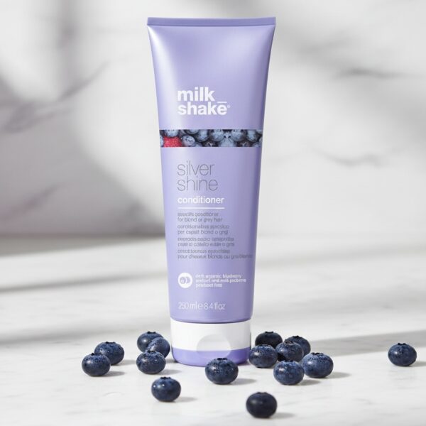 SILVER SHINE conditioner 250 ml