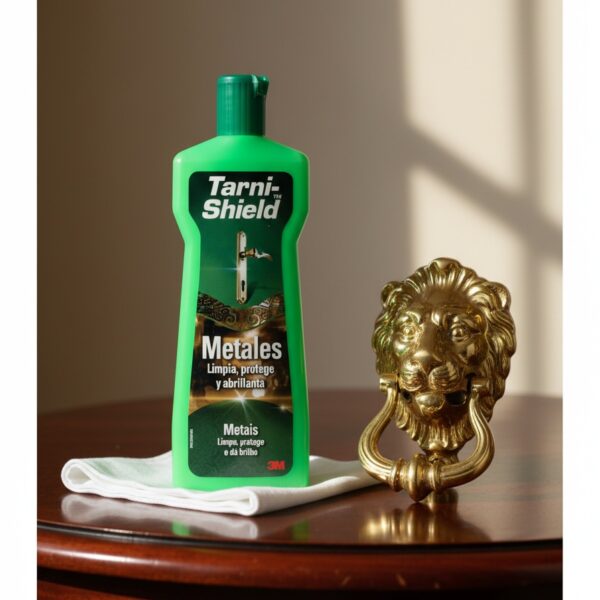 TARNI-SHIELD limpia y protege metales 250 ml
