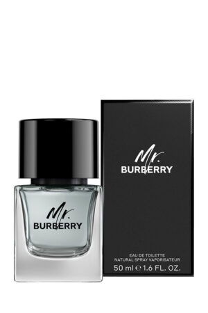 MR BURBERRY edt vapor 50 ml