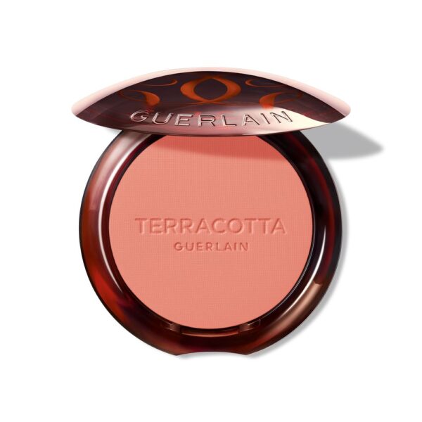 Guerlain TERRACOTTA BLUSH blush effect good face #02 1 u