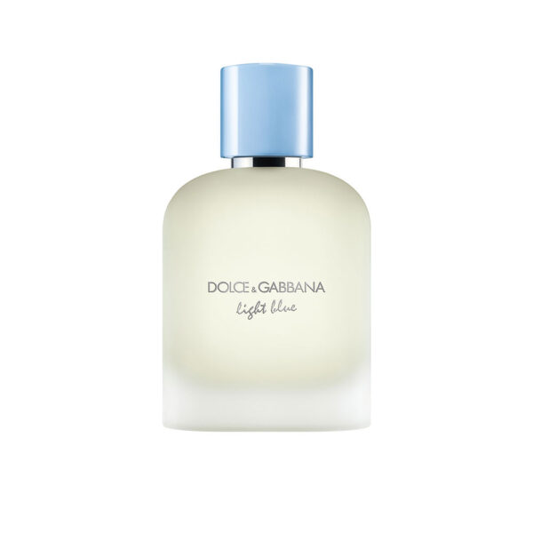 Dolce & gabbana LIGHT BLUE POUR HOMME edt vapo 100 ml