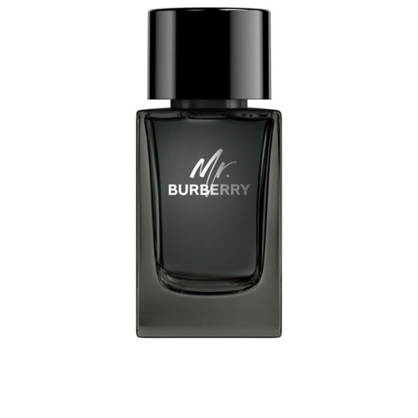 MR. BURBERRY eau de parfum vapor 100 ml