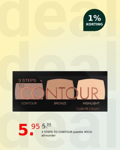 3 STEPS TO CONTOUR palette #010-allrounder