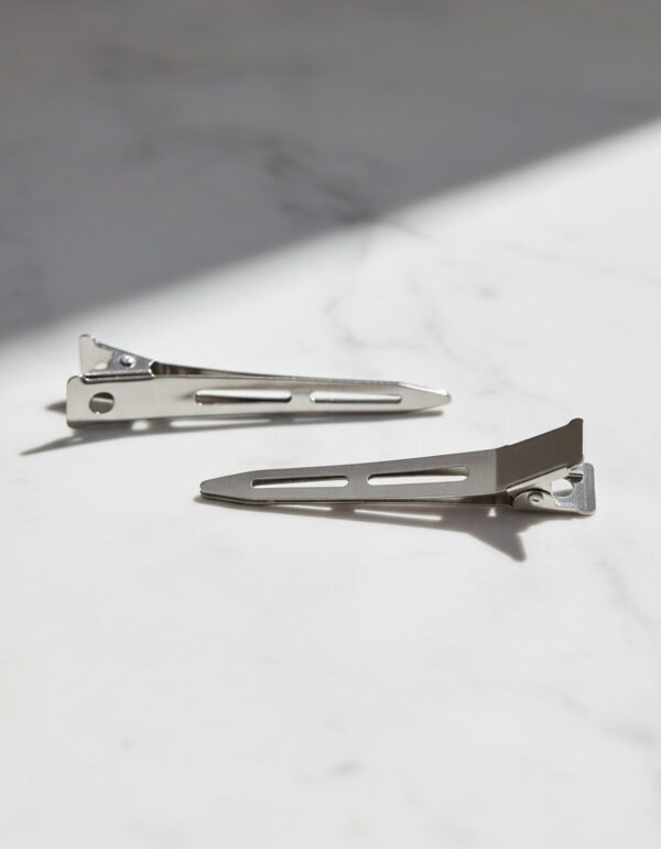 PINZAS cabello profesional 10 pz