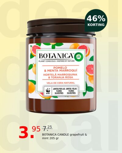 BOTANICA CANDLE grapefruit & mint 205 gr