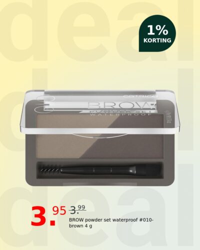BROW powder set waterproof #010-brown 4 g