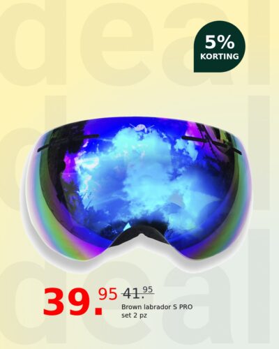 Brown labrador S PRO set 2 pz