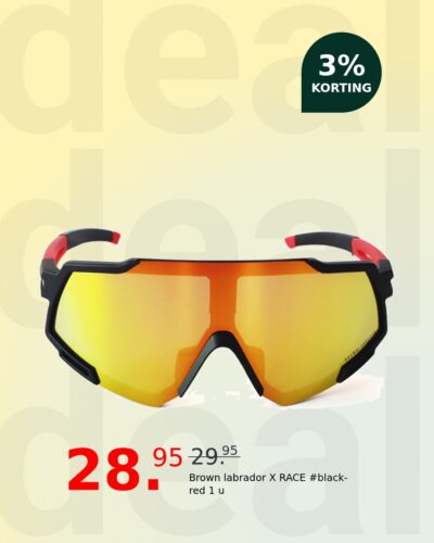 Brown labrador X RACE #black-red 1 u