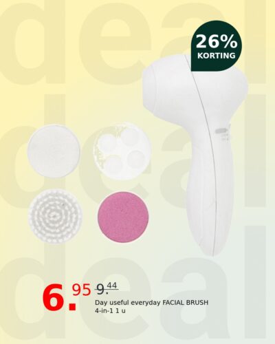 Day useful everyday FACIAL BRUSH 4-in-1 1 u