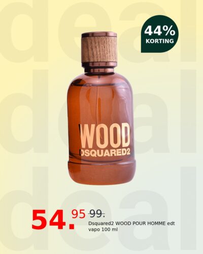 Dsquared2 WOOD POUR HOMME edt vapo 100 ml