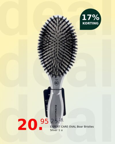 EXPERT CARE OVAL Boar Bristles Silver 1 u