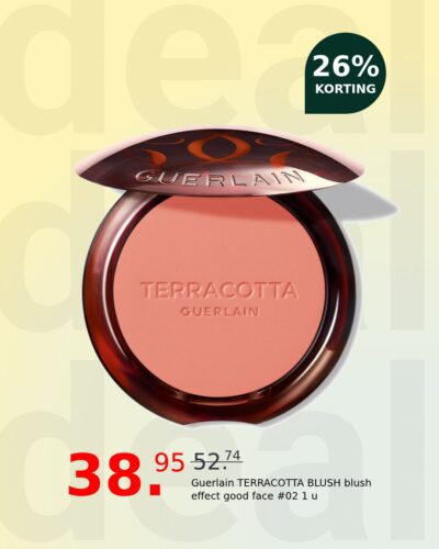 Guerlain TERRACOTTA BLUSH blush effect good face #02 1 u