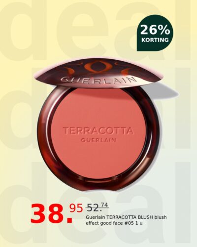 Guerlain TERRACOTTA BLUSH blush effect good face #05 1 u