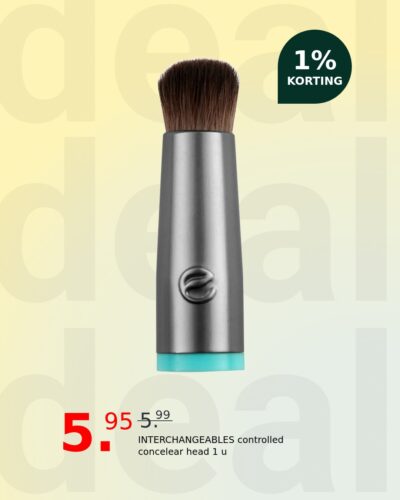 INTERCHANGEABLES controlled concelear head 1 u