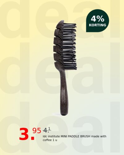 Idc institute MINI PADDLE BRUSH made with coffee 1 u