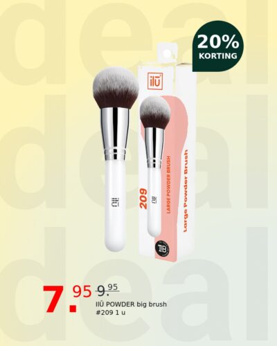 IlŪ POWDER big brush #209 1 u