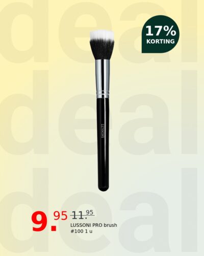 LUSSONI PRO brush #100 1 u