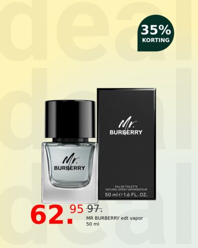 MR BURBERRY edt vapor 50 ml