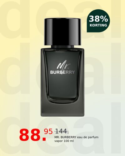 MR. BURBERRY eau de parfum vapor 100 ml