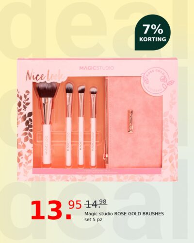 Magic studio ROSE GOLD BRUSHES set 5 pz