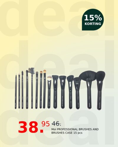 Moi PROFESSIONAL BRUSHES AND BRUSHES CASE 15 pcs