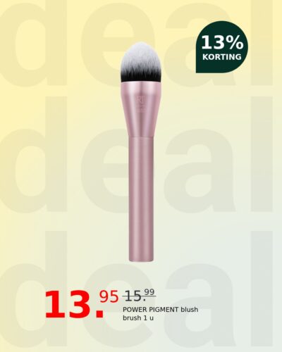 POWER PIGMENT blush brush 1 u