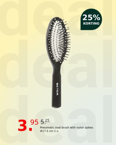 Pneumatic oval brush with nylon spikes #17.5 cm 1 u