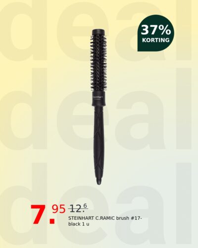 STEINHART C.RAMIC brush #17-black 1 u