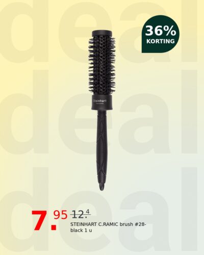 STEINHART C.RAMIC brush #28-black 1 u