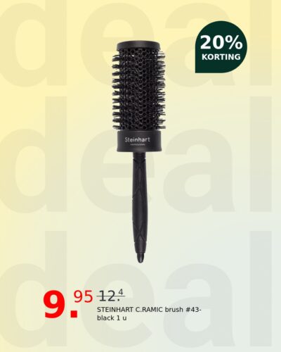 STEINHART C.RAMIC brush #43-black 1 u