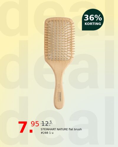 STEINHART NATURE flat brush #288 1 u