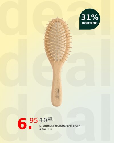 STEINHART NATURE oval brush #264 1 u