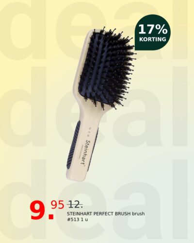 STEINHART PERFECT BRUSH brush #513 1 u
