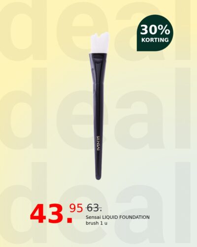 Sensai LIQUID FOUNDATION brush 1 u
