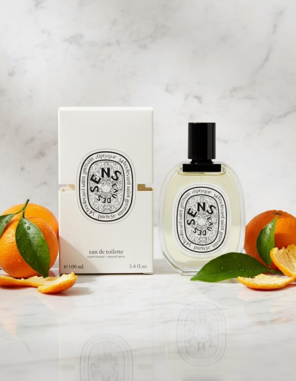 EAU DES SENS edt vapo 100 ml