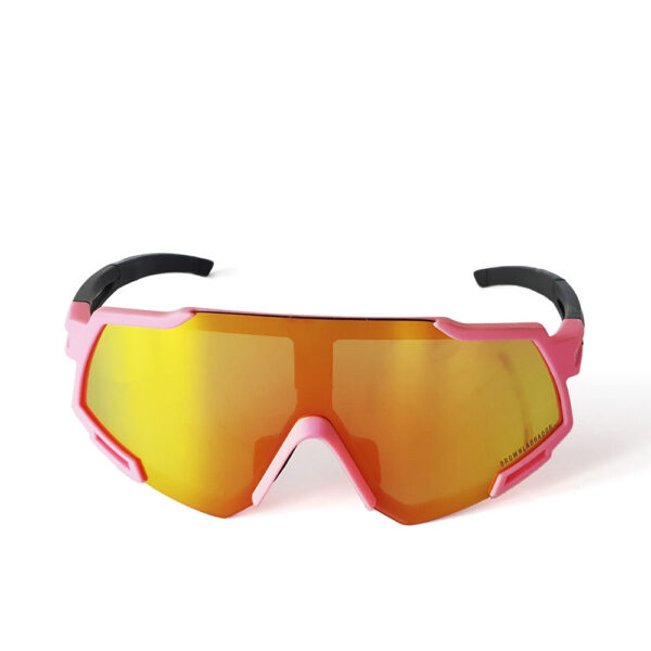 Brown labrador X RACE #pink-black 1 u