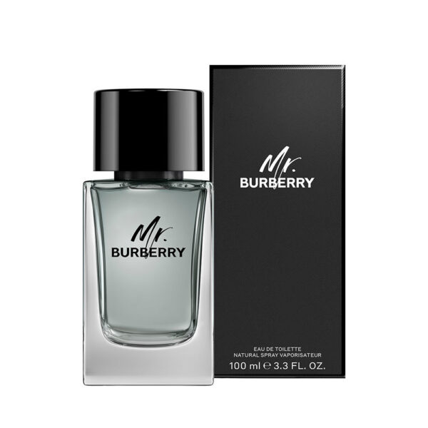 MR BURBERRY eau de toilette spray 100 ml