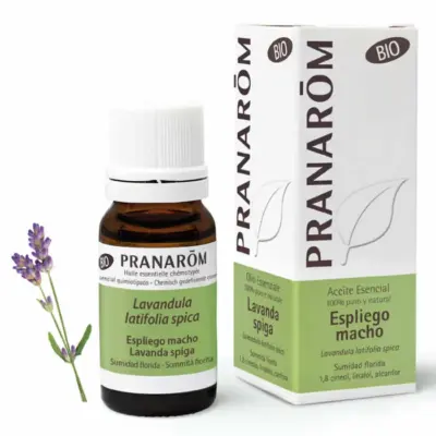 Pranarom Lavandula Latifolia Spica Bio 10ml