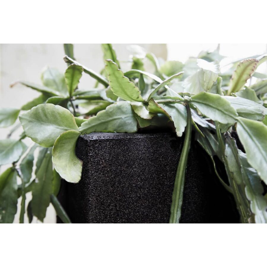 Capi Plantenbak Urban Smooth vierkant 30x30x30 cm zwart KBL902 - Afbeelding 7