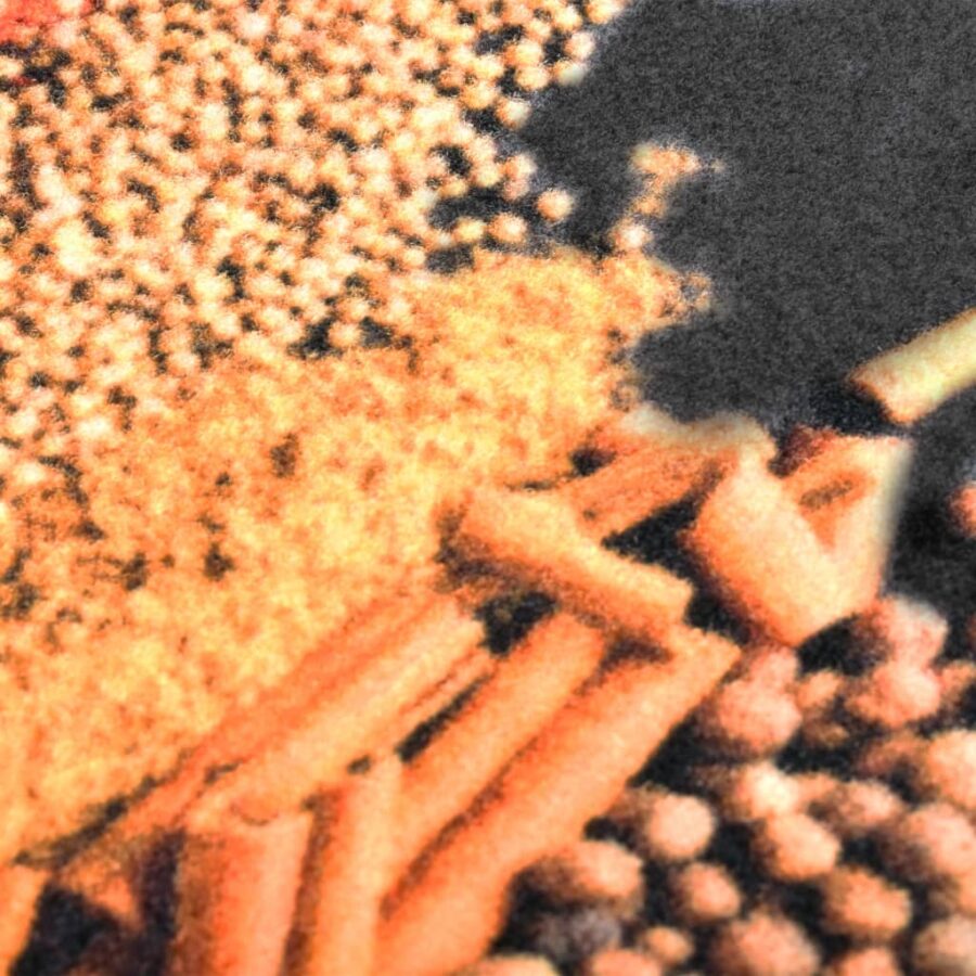 Keukenmat wasbaar Spice 60x300 cm - Afbeelding 4