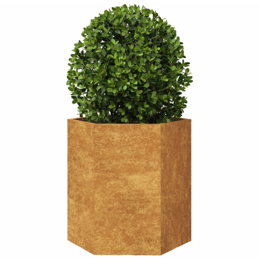 Plantenbakken 2 st zeshoek 46x40x45 cm cortenstaal - Afbeelding 5