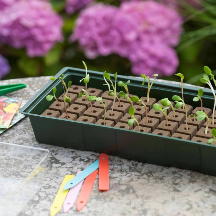 Nature Kweekbak miniset 4x16 vakken - Afbeelding 4