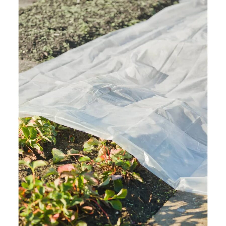 Nature Plantenhoes 3x4 m 100µ transparant - Afbeelding 3