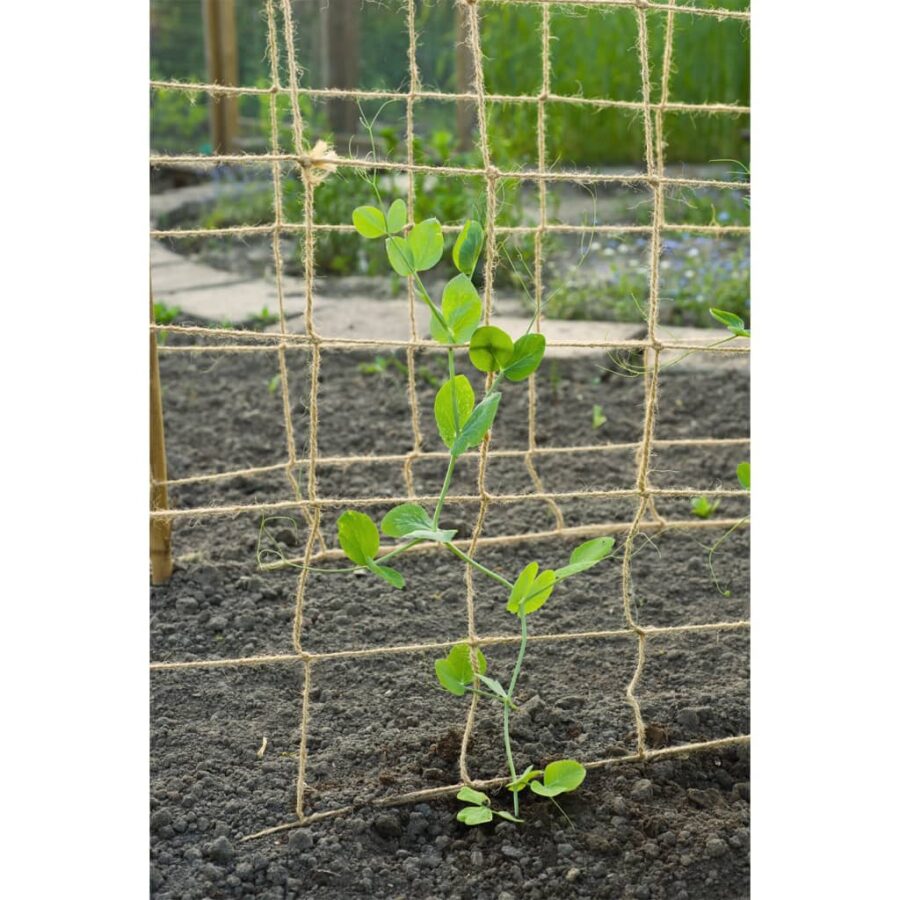 Nature Klimnet voor planten 1,8x5 m naturel - Afbeelding 5