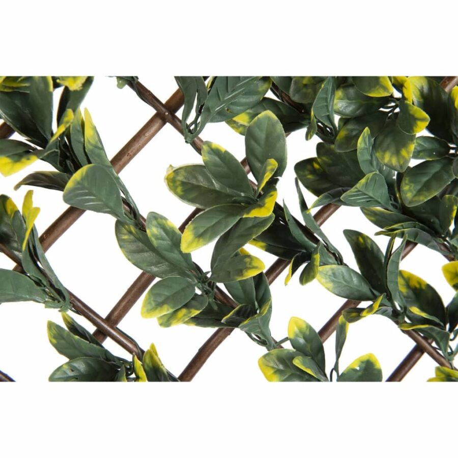 Nature Latwerk met California liguster groen en geel blad 90x180 cm - Afbeelding 3
